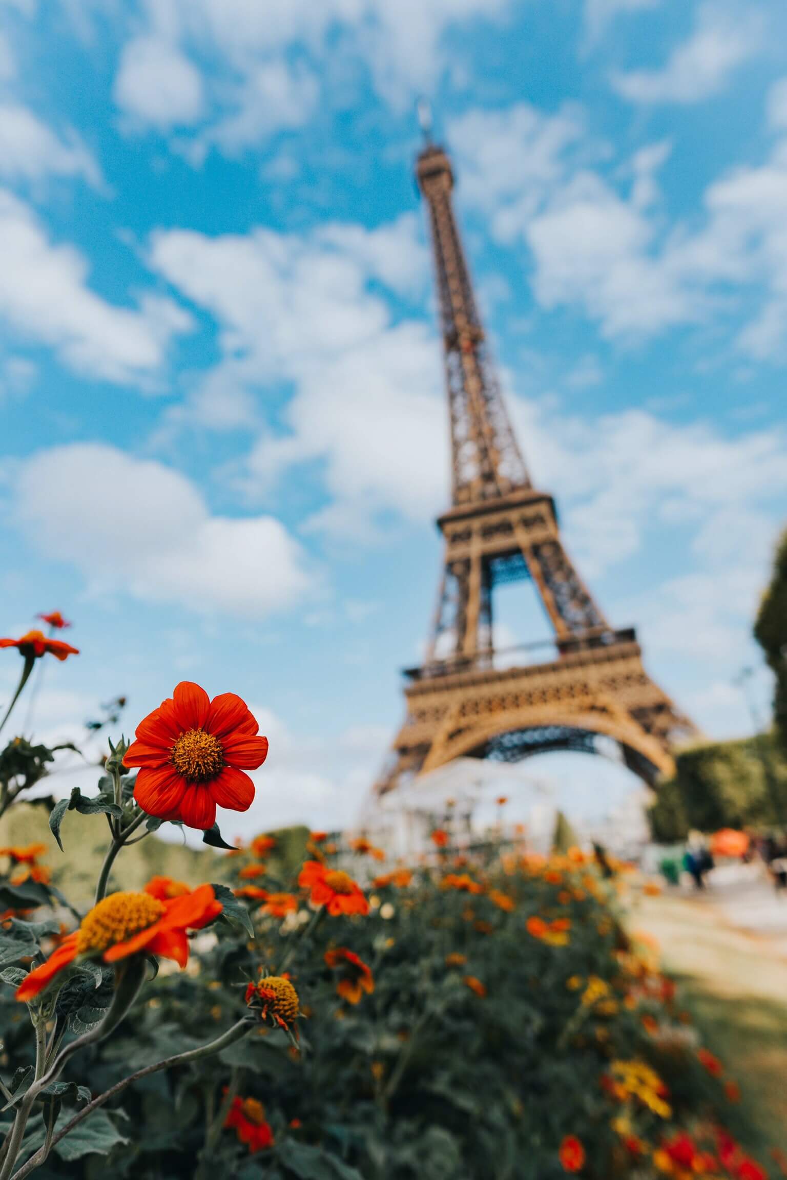 Artsy shot of Eiffel tower